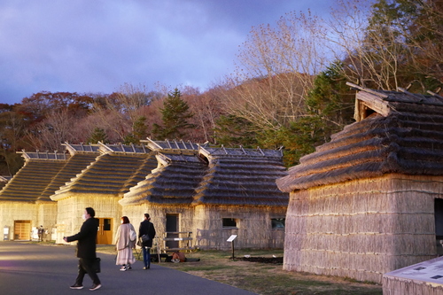 _1140143.JPG