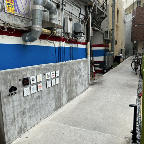 hanaki (1).jpg