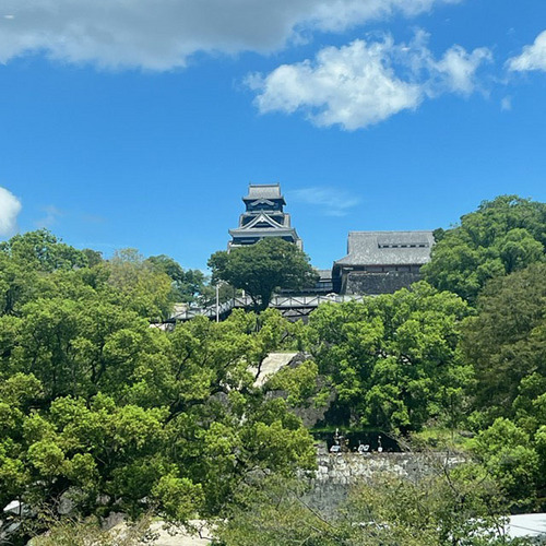 simiyagura (1).JPG