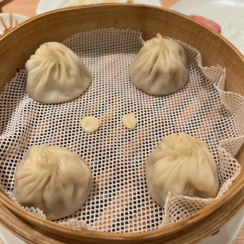 ﾃﾞｨﾝﾀ (7).JPG