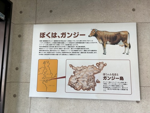 ganji4.jpg