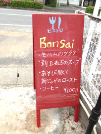 bonsai1.gif