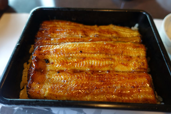chik5.jpg