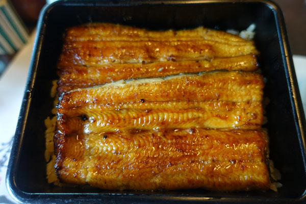 chik6.jpg