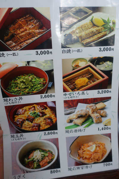 fuju4.jpg