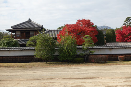 gyobu7.jpg