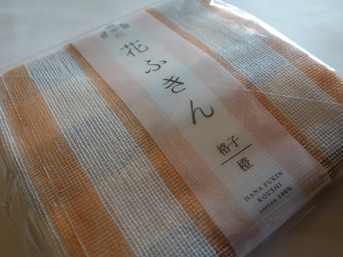 hanahukin1.jpg