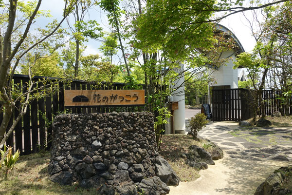 hananog4.jpg