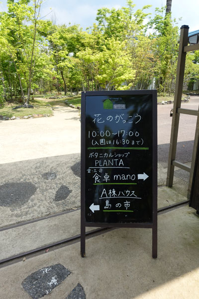hananog5.jpg