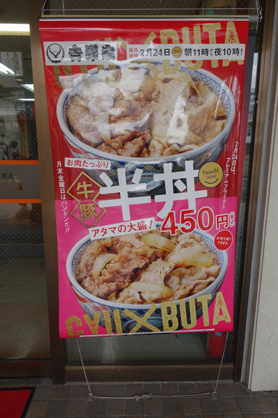 handon1.jpg