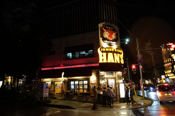 hanss1.jpg