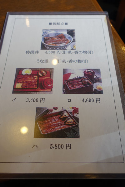 kiku1.jpg