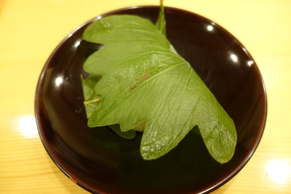 ktomita6.jpg