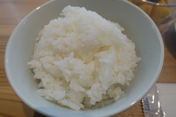 mujic8.jpg