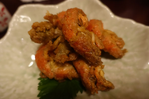 nishiyama2.jpg