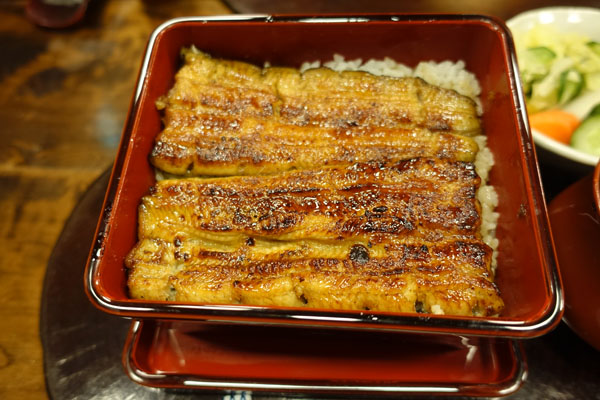 nodaiwa1.jpg