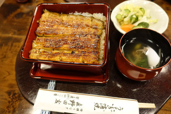 nodaiwa2.jpg