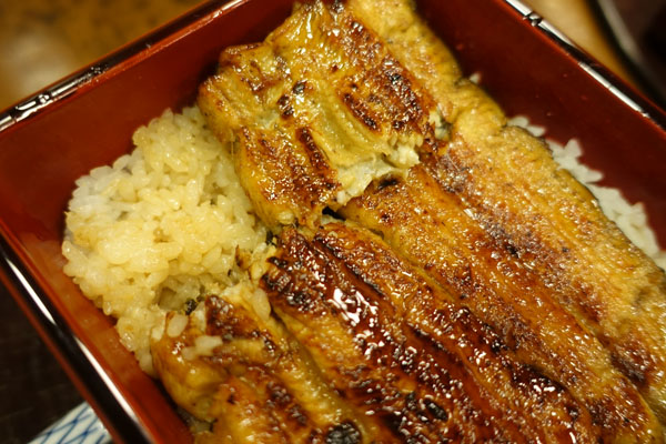 nodaiwa3.jpg