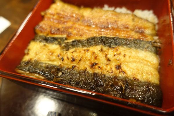 nodaiwa4.jpg