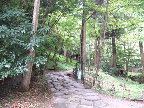 ogunisobakadiou4.jpg