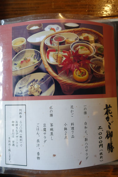 sarasa1.jpg