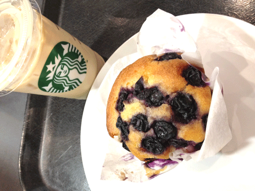 starbaccks1muffin.gif