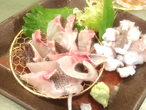 susaki4.gif