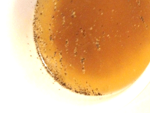 tamanegi.gif