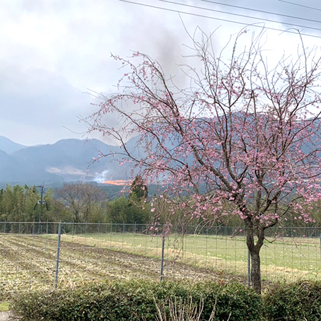 久永屋野焼き.jpg