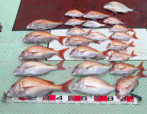 天草釣り1.jpg