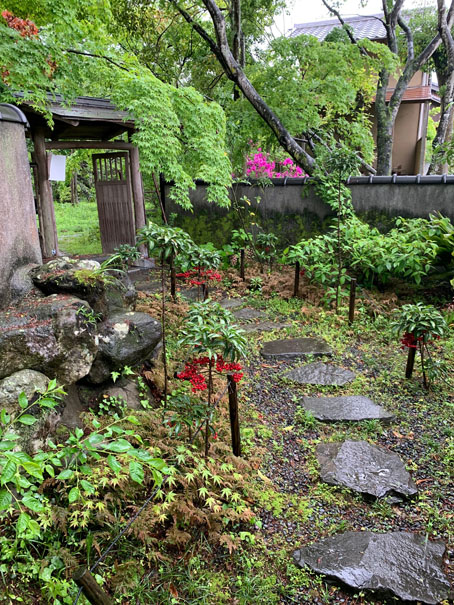 202205ブログ用(S.O） (3).jpg