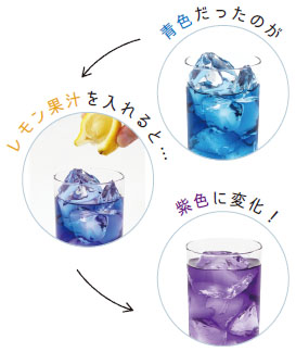 HN202106068.jpg