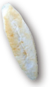 HN202107012_s_s.jpg