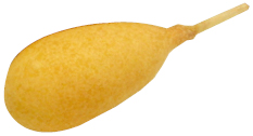HN202107029.jpg