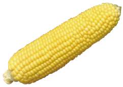 HN202107045.jpg
