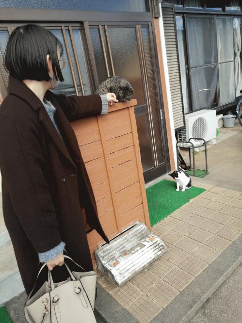 20220203_猫と戯れる.jpg