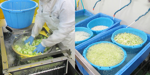 野菜洗浄１.jpg