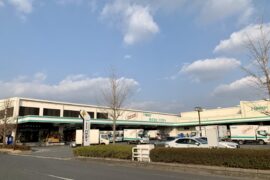 コラム：サムネイル画像